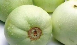 古茗新瓜最新爆料,揭秘神秘新品背后的故事